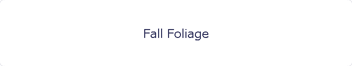 Fall Foliage