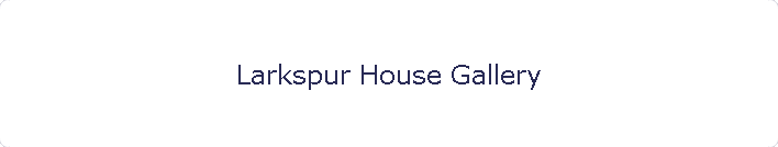 Larkspur House Gallery